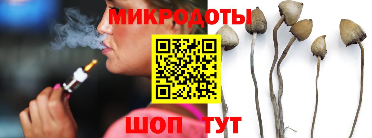 Кировск  Галлюциногенные грибы GOLDEN TEACHER  Вход с VPN  Псилоцибиновые грибы GOLDEN TEACHER 